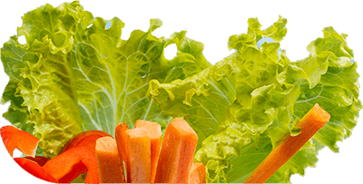 balkan groceries online